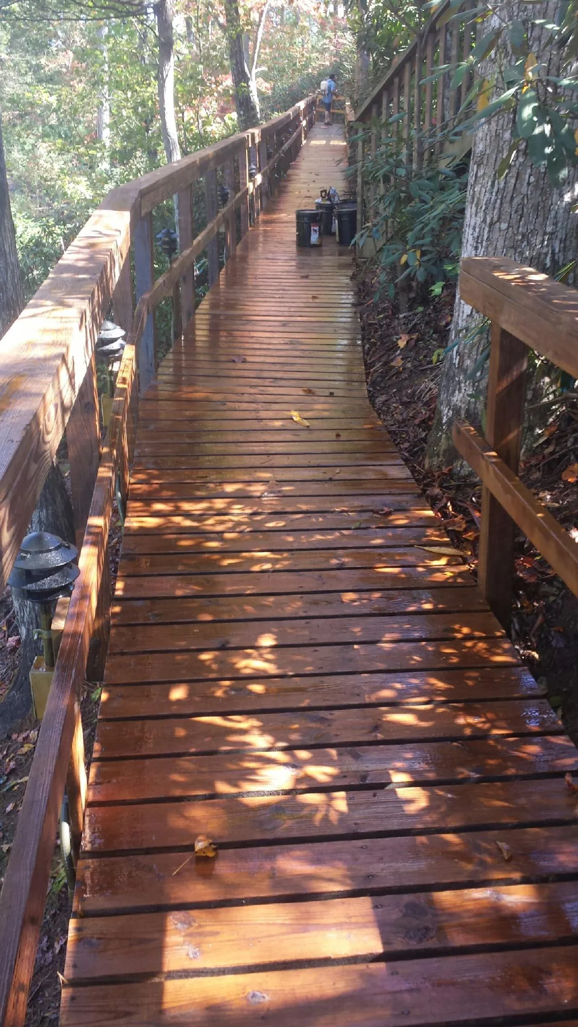 Freshly stained wood walkway winding through the woods in Berrien Springs